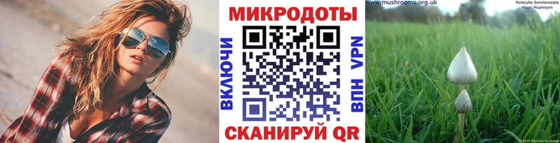 Галлюциногенные грибы мицелий  Лесной 